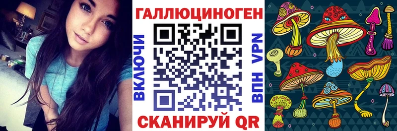 Псилоцибиновые грибы Psilocybine cubensis  Купить закладки  Ленск 